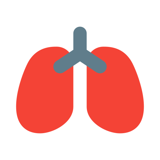 Lung Generic Flat icon