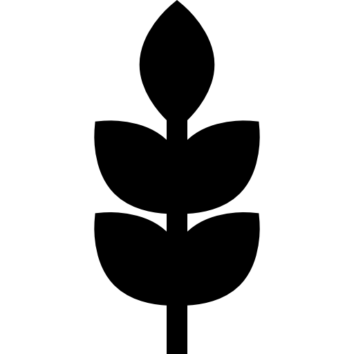 pszenica Basic Straight Filled ikona