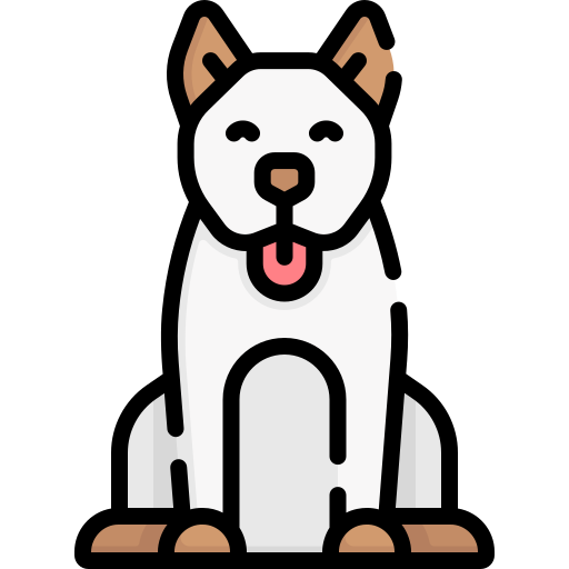 Dog Special Lineal color icon