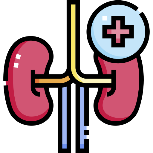 Kidneys Detailed Straight Lineal color icon