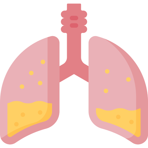 pulmões Special Flat Ícone