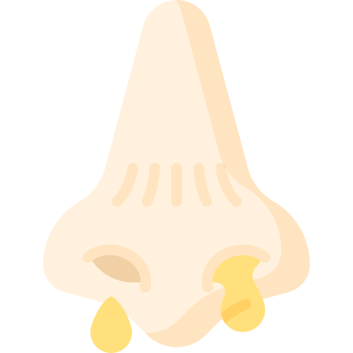 rinorrea Special Flat icona