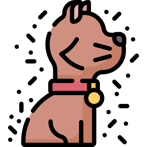 Pet Special Lineal color icon