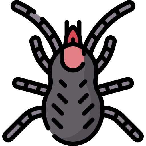 Mite Special Lineal color icon