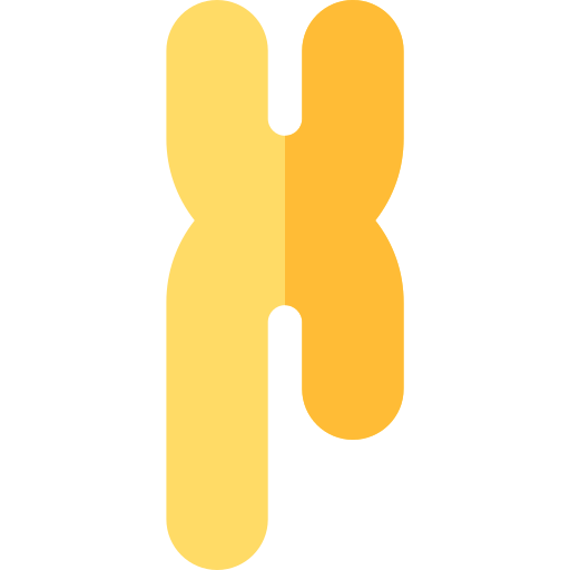 chromosome Basic Rounded Flat Icône