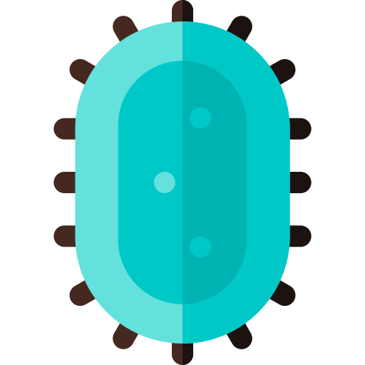 박테리아 Basic Rounded Flat icon