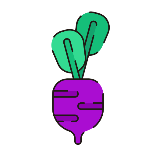 rote beete Generic Outline Color icon