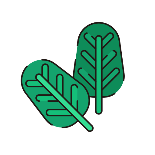 Spinach Generic Outline Color icon