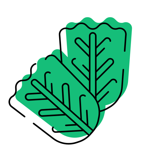 Spinach Generic Color Omission icon