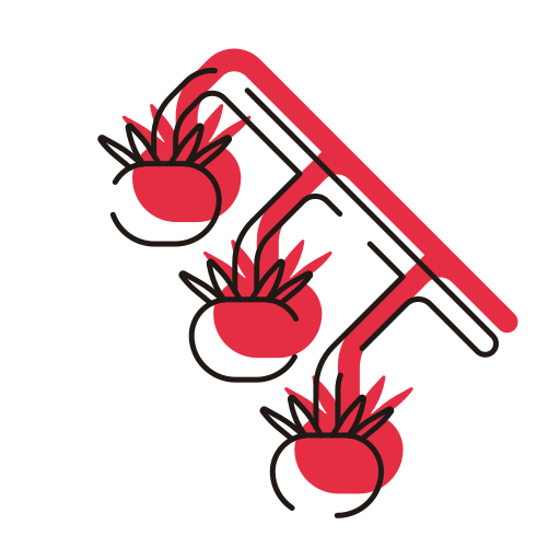 Cherry tomato Generic Color Omission icon