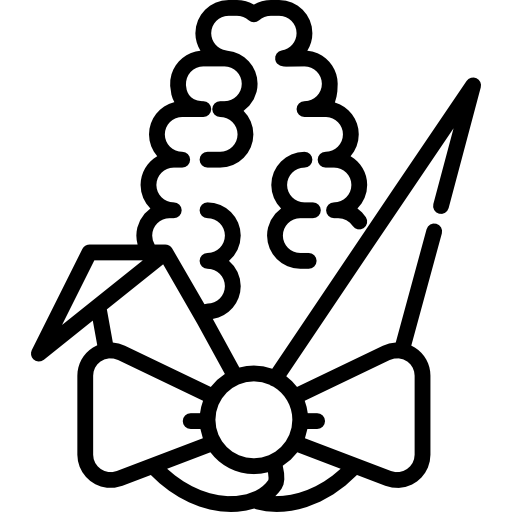 kukurydza Special Lineal ikona
