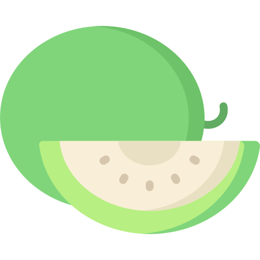 Melon Special Flat icon