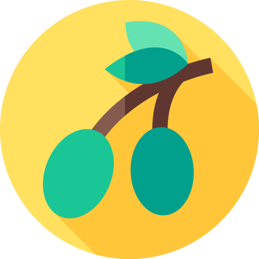 olive Flat Circular Flat icon