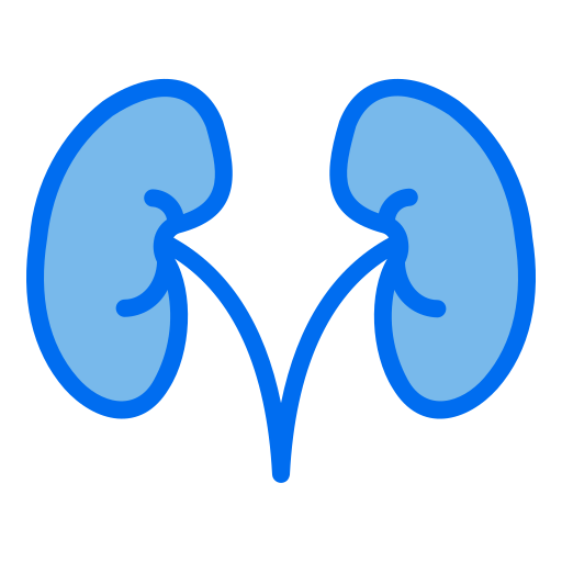 Kidney Generic Blue icon