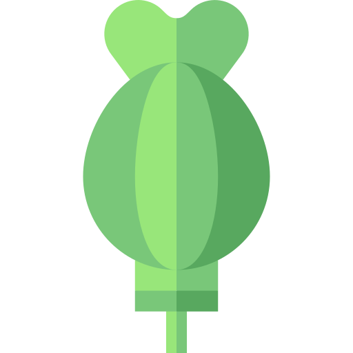 opio Basic Straight Flat icono