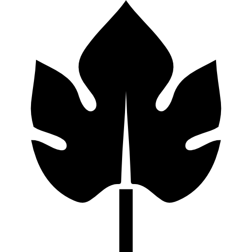 Leaf beautiful shape  icon
