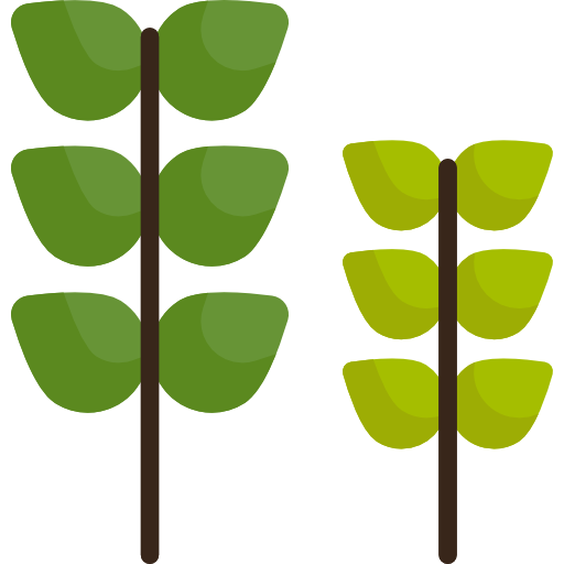 planten Special Flat icoon