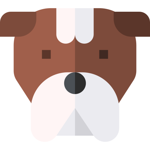 bulldog Basic Straight Flat icona