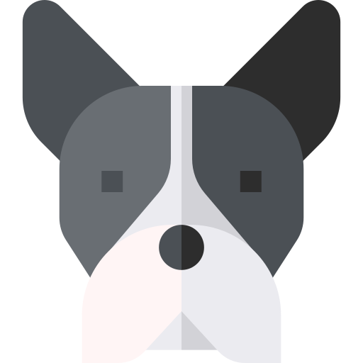 Boston terrier Basic Straight Flat icon