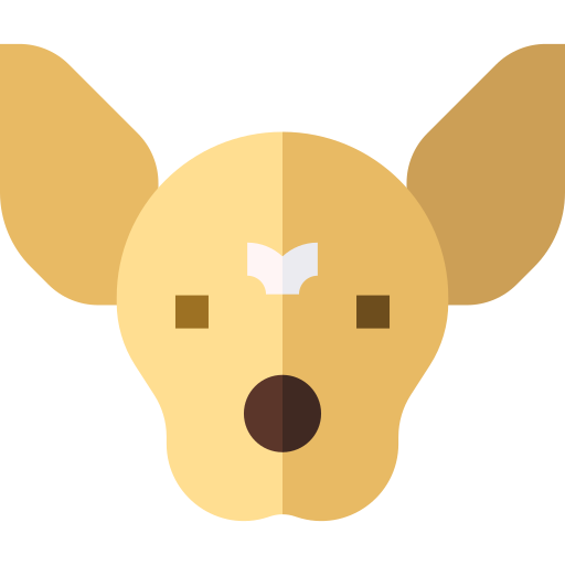 Chihuahua Basic Straight Flat icon