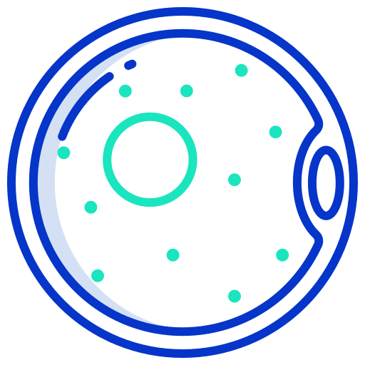 ovule Icongeek26 Outline Colour Icône