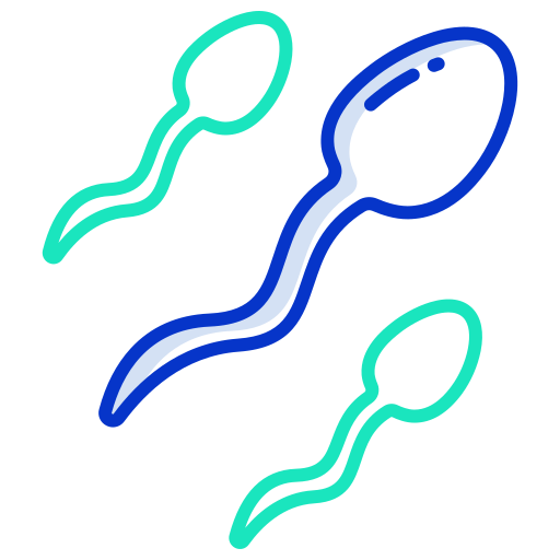 les spermatozoïdes Icongeek26 Outline Colour Icône