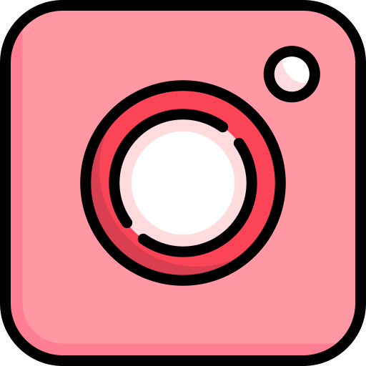 logo instagram Special Lineal color Icône