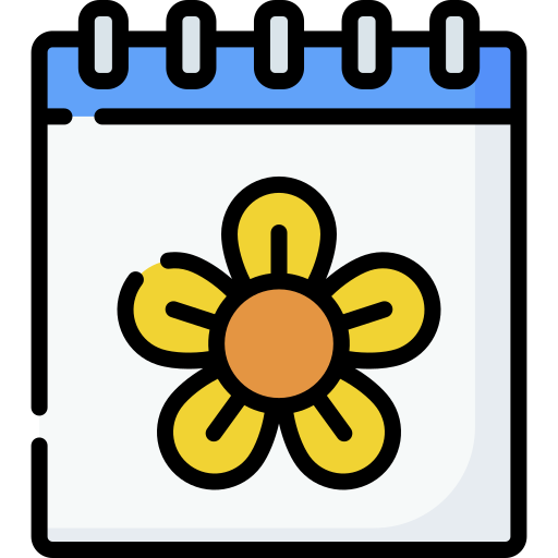Spring Special Lineal color icon