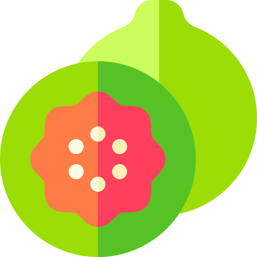 Guava Basic Rounded Flat icon