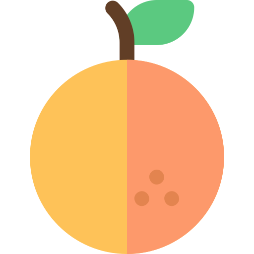 orange Basic Rounded Flat Icône