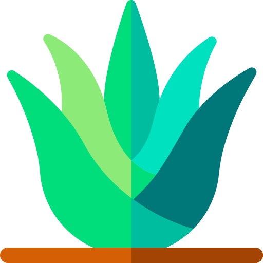 Aloe vera Basic Rounded Flat icon