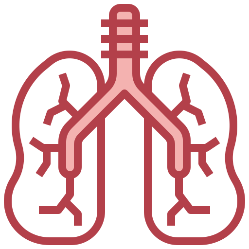 pulmones Surang Red icono