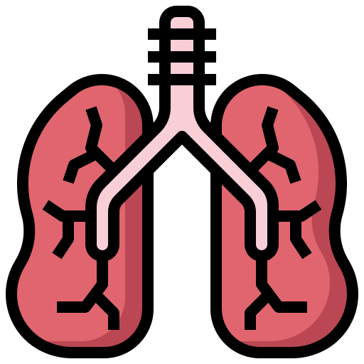 pulmões Surang Lineal Color Ícone