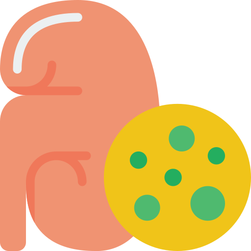腎臓 Basic Miscellany Flat icon