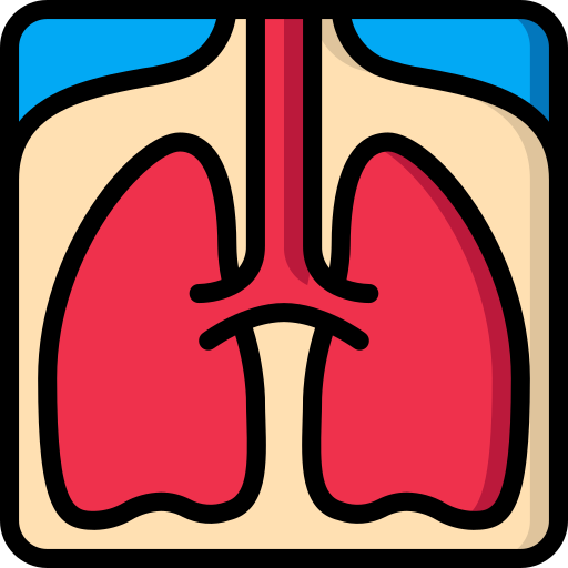 pulmões Basic Miscellany Lineal Color Ícone