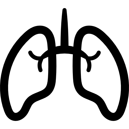 pulmões Dreamstale Lineal Ícone