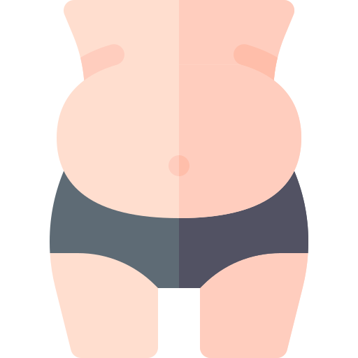 肥満 Basic Rounded Flat icon