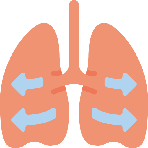 pulmões Basic Miscellany Flat Ícone