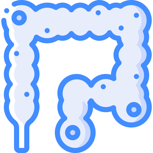 intestins Basic Miscellany Blue Icône