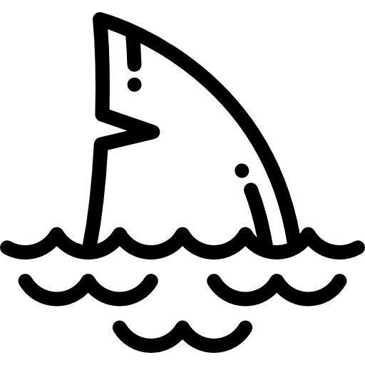 鮫 Detailed Rounded Lineal icon