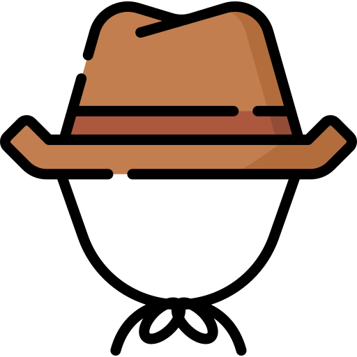 Cowboy hat Special Lineal color icon