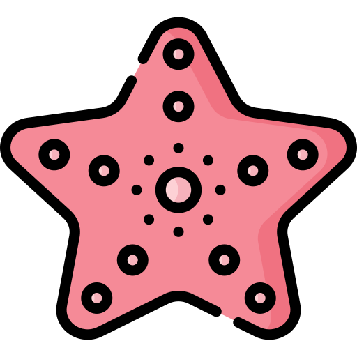 Starfish Special Lineal color icon