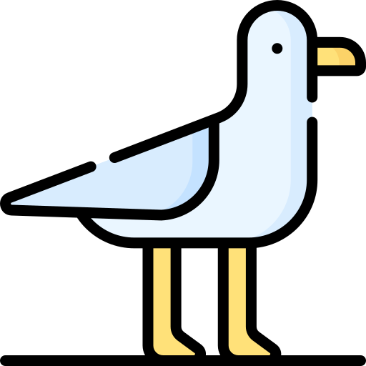 möwe Special Lineal color icon
