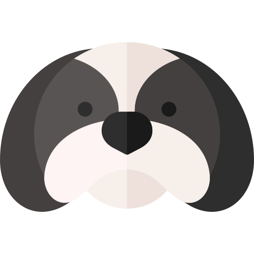 Shih tzu Basic Rounded Flat icon