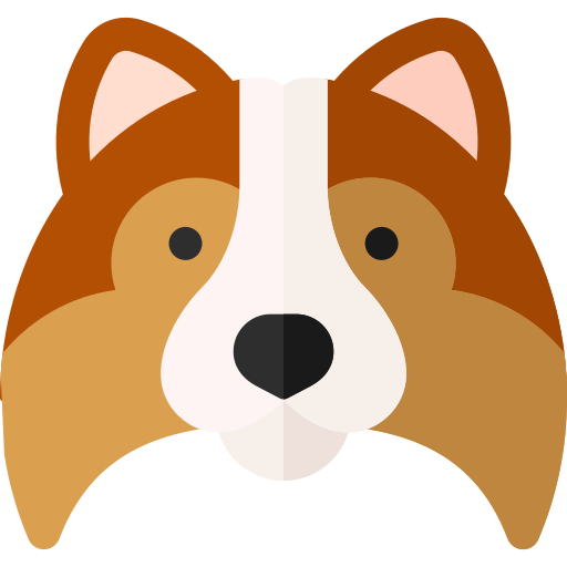 Shetland sheepdog Basic Rounded Flat icon