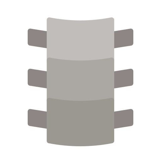 Backbone Generic Flat icon