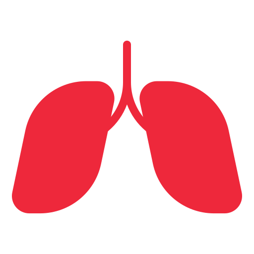 Human lungs Generic Flat icon