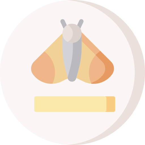 Moth Special Flat icon