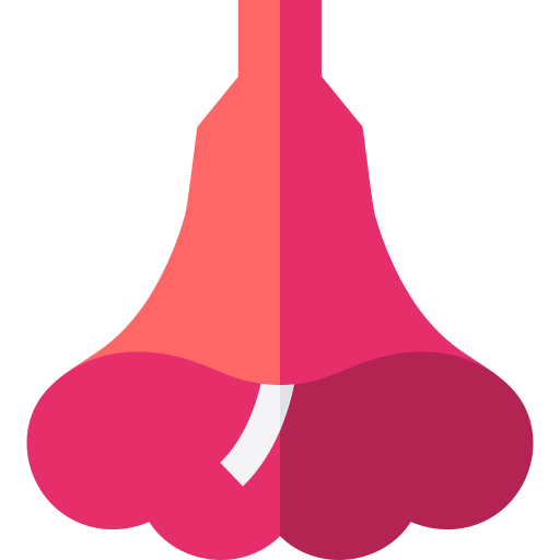 Jacaranda Basic Straight Flat icon