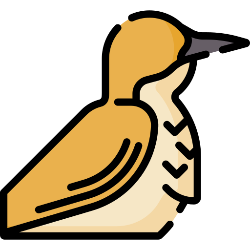 Rufous hornero Special Lineal color icon